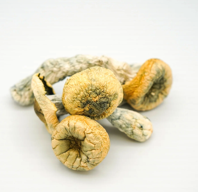 3.5 Grams Dried Mushrooms – Bluey Vuitton (Award Winning)