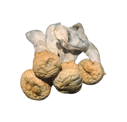 3.5 Grams Dried Mushrooms – Iceberg (High Potency)