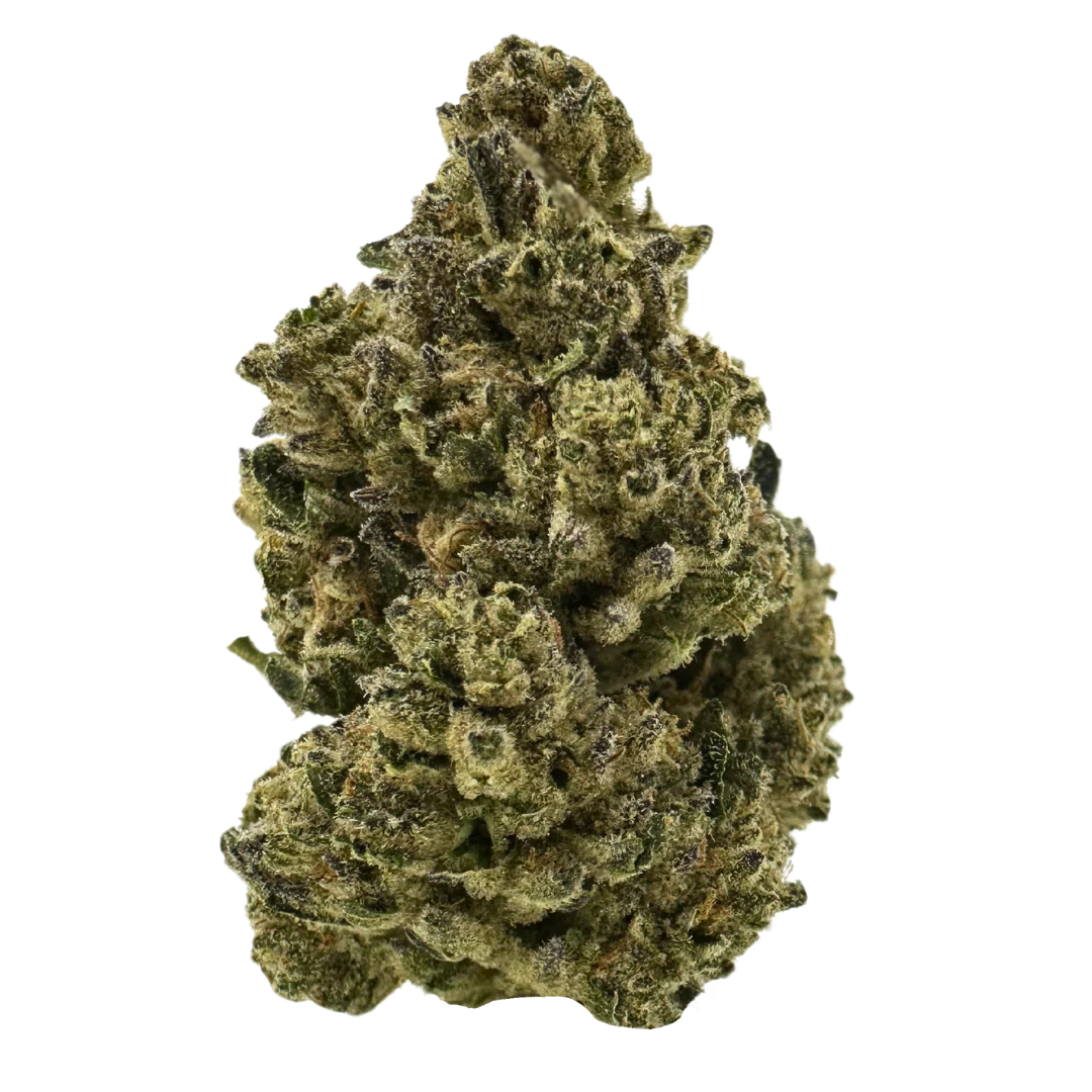 SherbCreamPiePremiumTHCAFlower