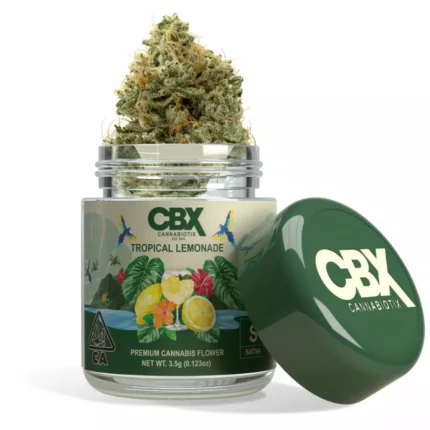 3.5 Grams Premium Cannabis Flower – Tropical Lemonade by CBX (Sativa) THC: 26.90%
