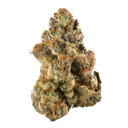 1 Ounce Mid Shelf – OG Purps (Indica) 27%THC